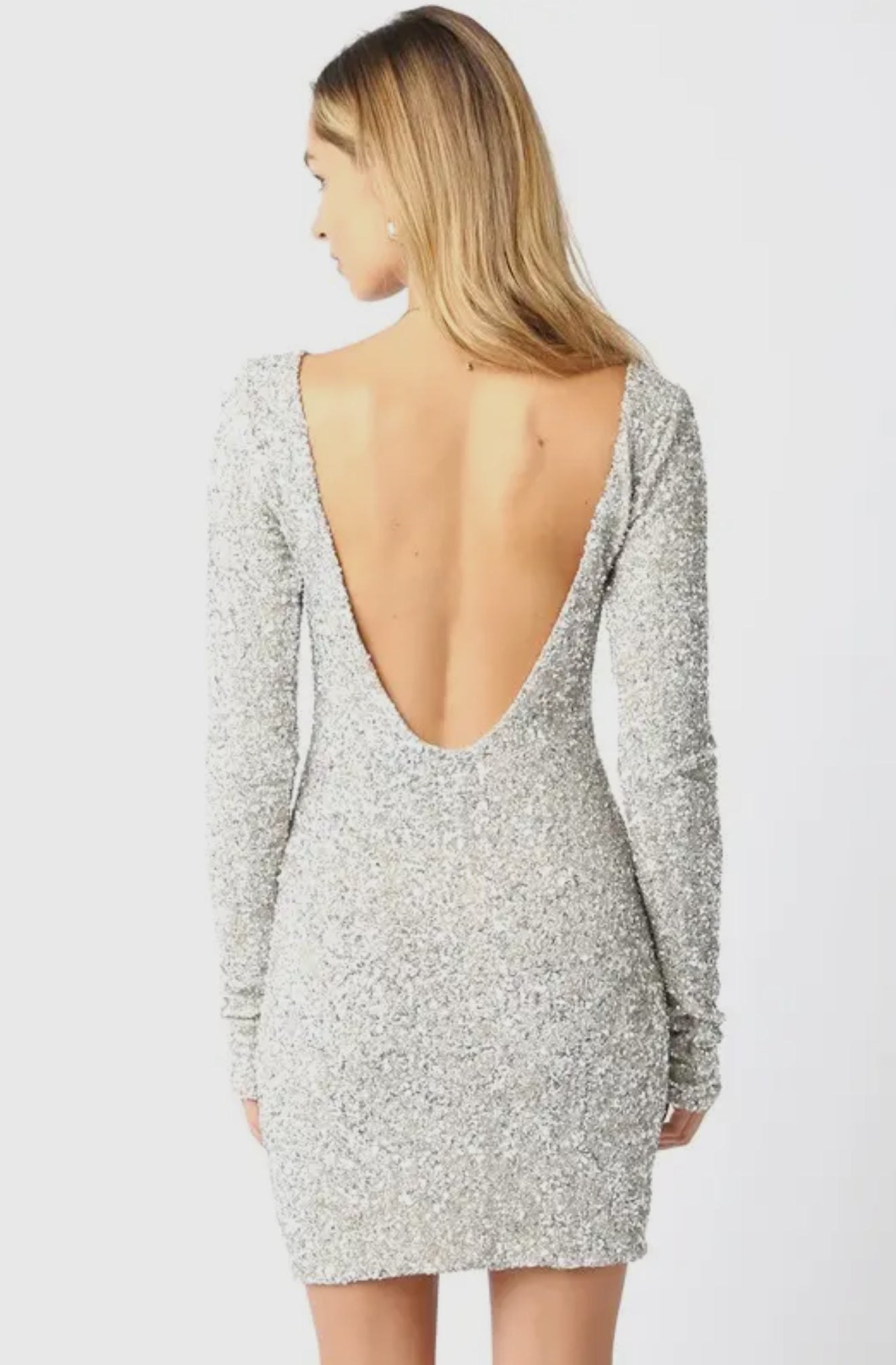 Fiona Silver Sequin Mini Dress