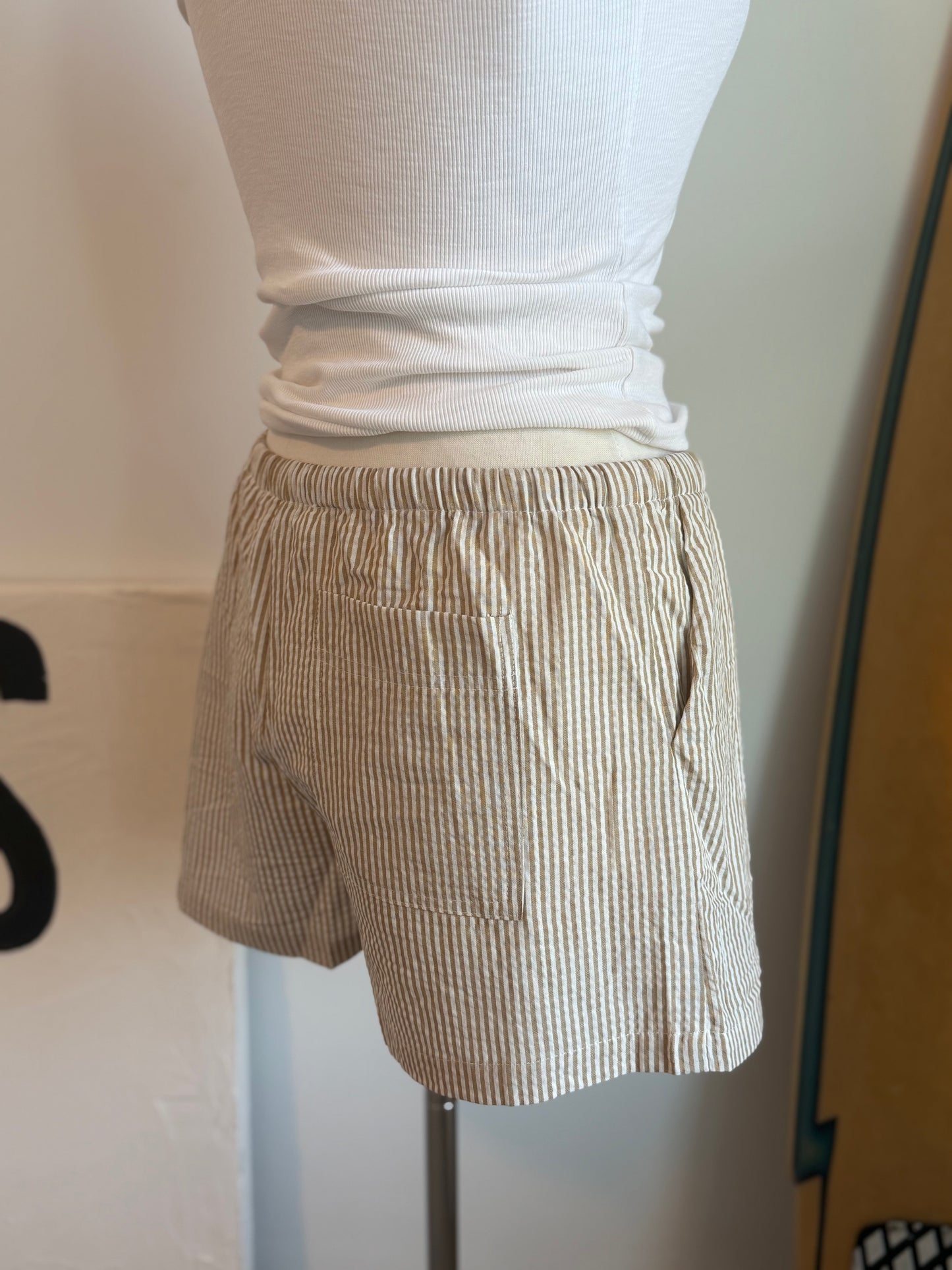Coast Striped Drawstring Waist Shorts | Taupe & White
