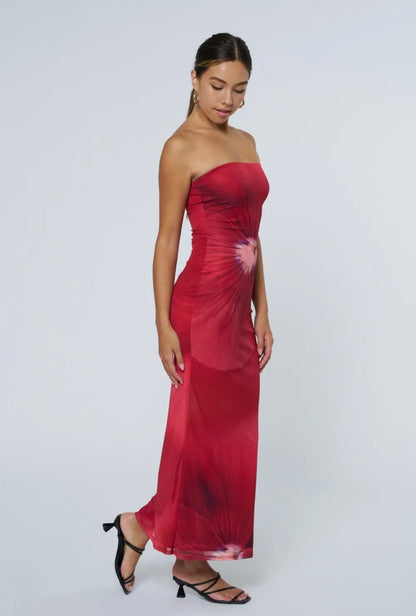Solara Floral Tube Maxi Dress