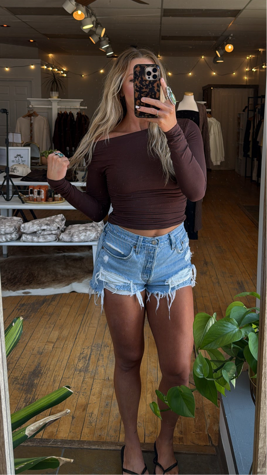Brown Asymmetric Long Sleeve Top